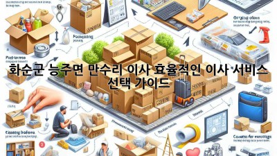 화순군 능주면 만수리 이사, 효율적인 이사 서비스 선택 가이드